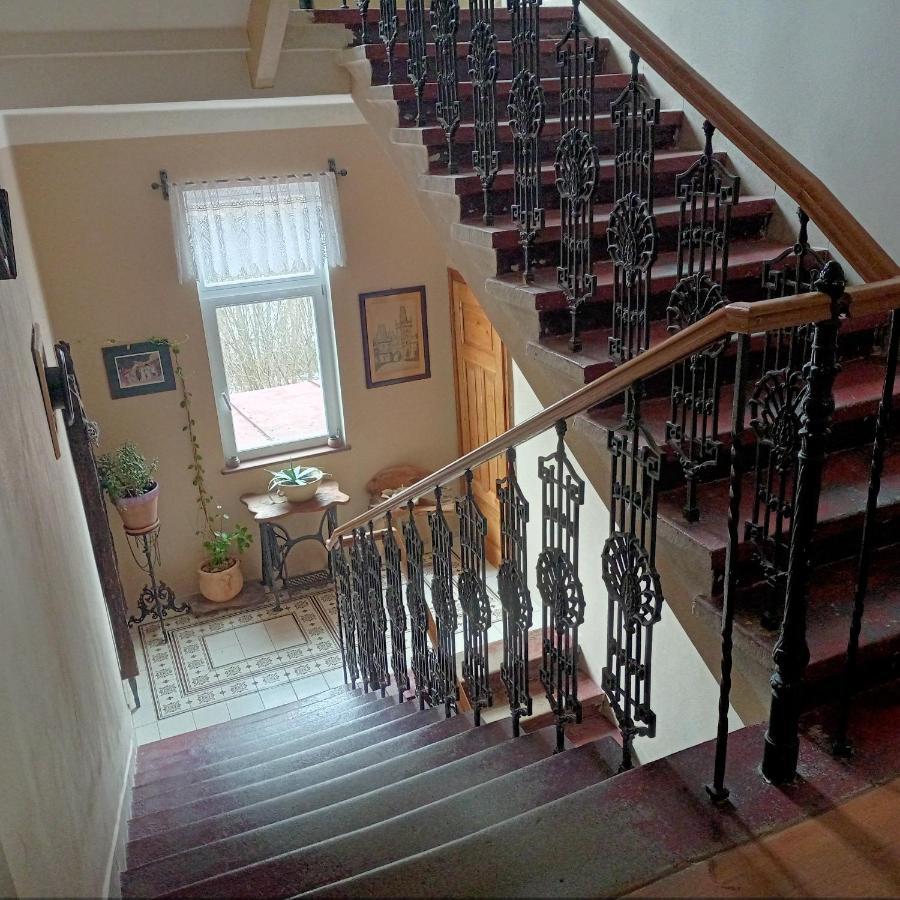 Villa Rosenberg Mariánské Lázně Εξωτερικό φωτογραφία
